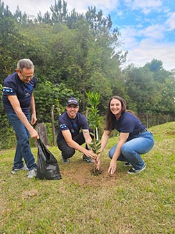 Three people planting saplings in a rural setting.
